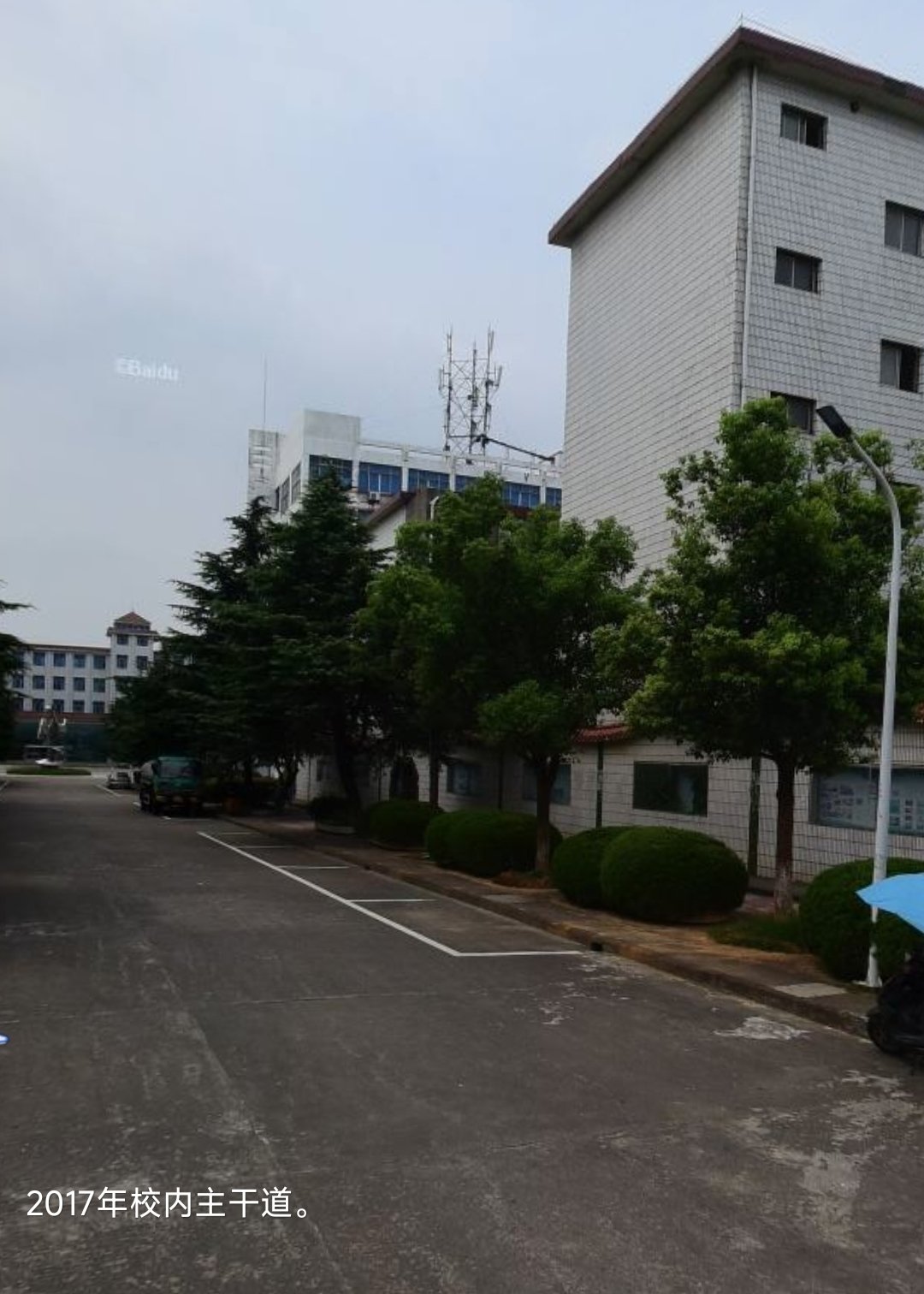 校内主干道