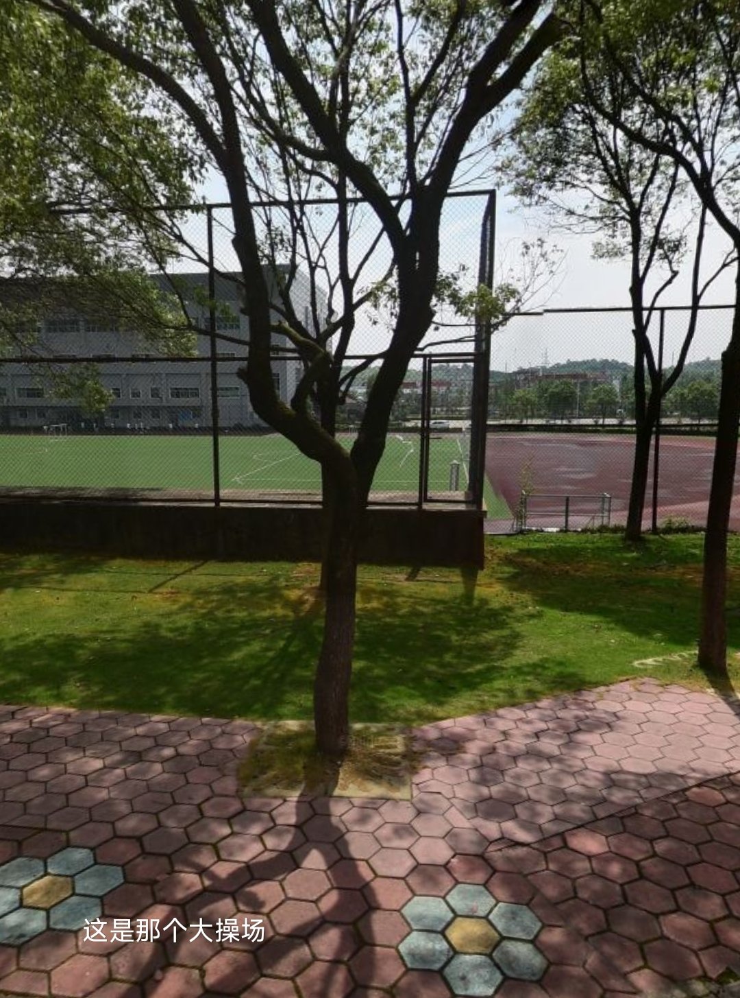 大操场应该是99年建的。